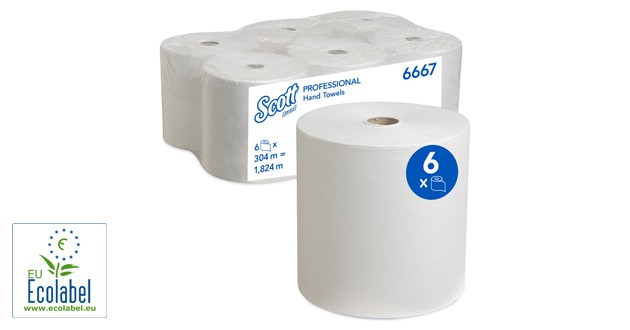 Scott® gerollte Papierhandtücher 6667