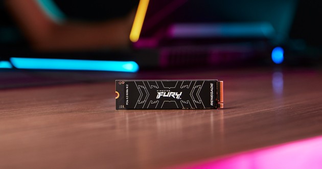 Kingston Technology FURY