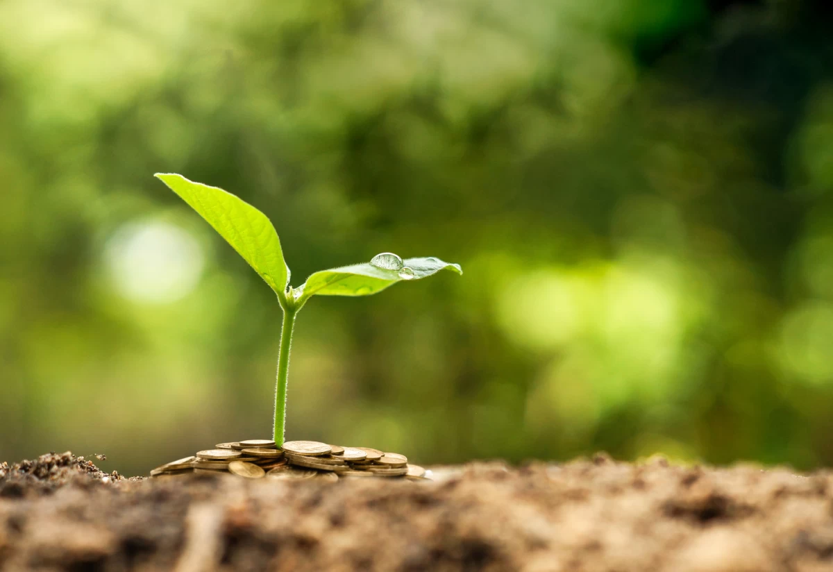 Nachhaltige Beschaffung – Mit KI bessere Entscheidungen treffen